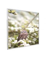 995x1195 Owl In The Spring Picture NXT Gen Infrared Heating Panel 1200W - Electric Wall Panel Heater